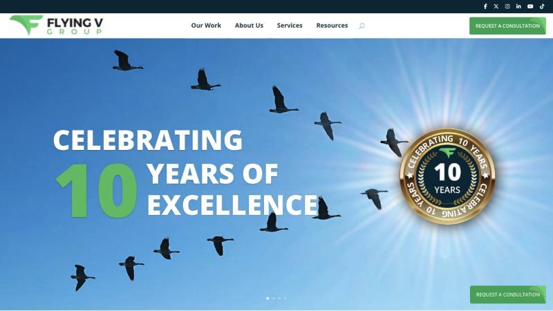 Screenshot of the Flying V Group homepage