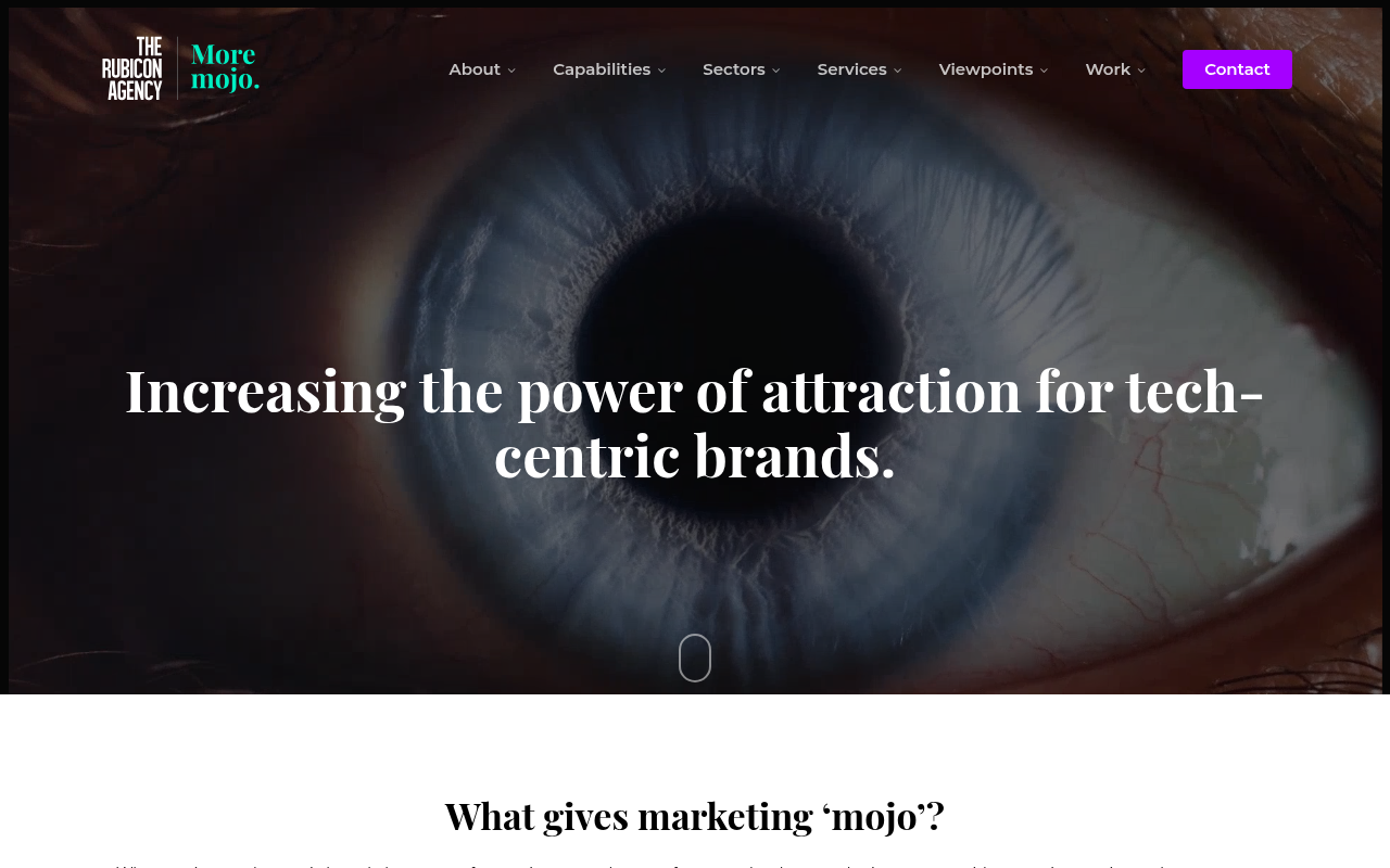 The Rubicon Agency website screenshot